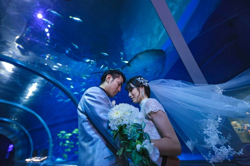 水族館　登別マリンパークニクス　マリンパーク　ニクス城　水族館ウエディング　ウェディング　フォトウェディング　室蘭　結婚式　結婚写真
